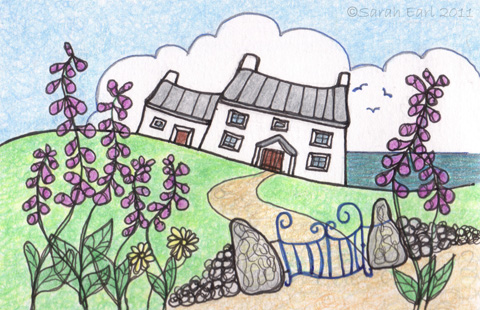 12 Mid-summer kestrel at Porthclais